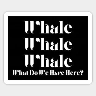 Whale Whale Whale Sticker